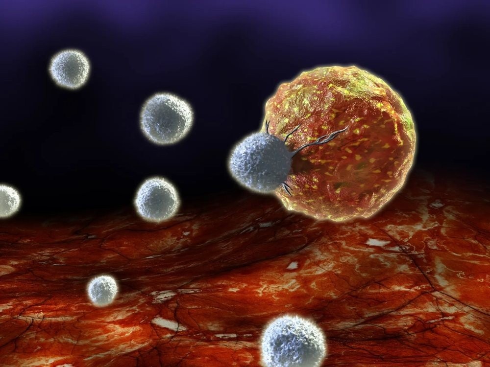 Ερευνητές εντόπισαν παντοδύναμα T-κύτταρα σε ασθενείς που νίκησαν τον καρκίνο