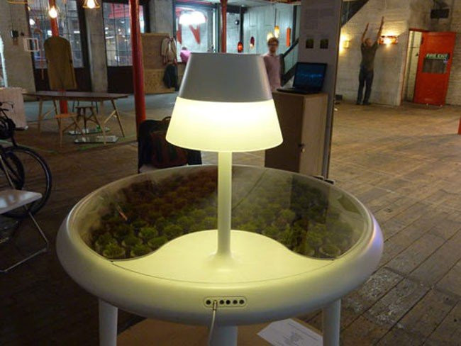 Moss Table, ενέργεια από ...βρύα! image