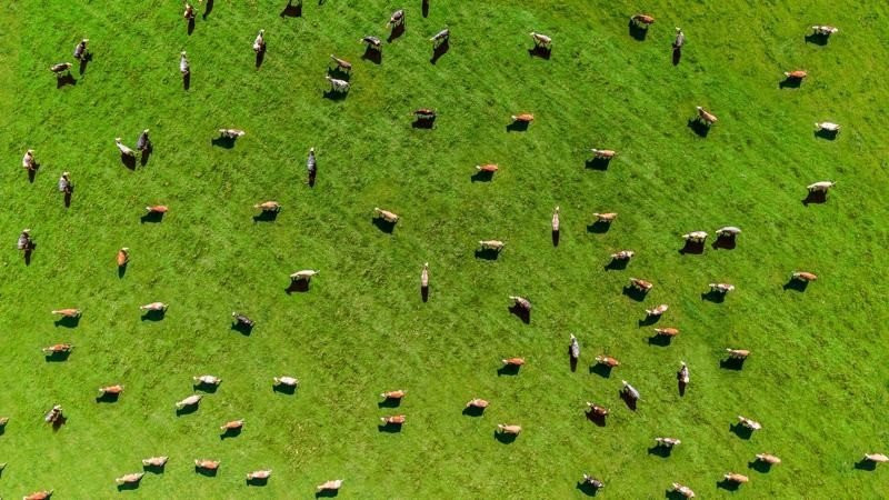 myFarmWeb: Η νέα υπηρεσία της Vodafone για βιώσιμη γεωργία στην Ευρώπη image