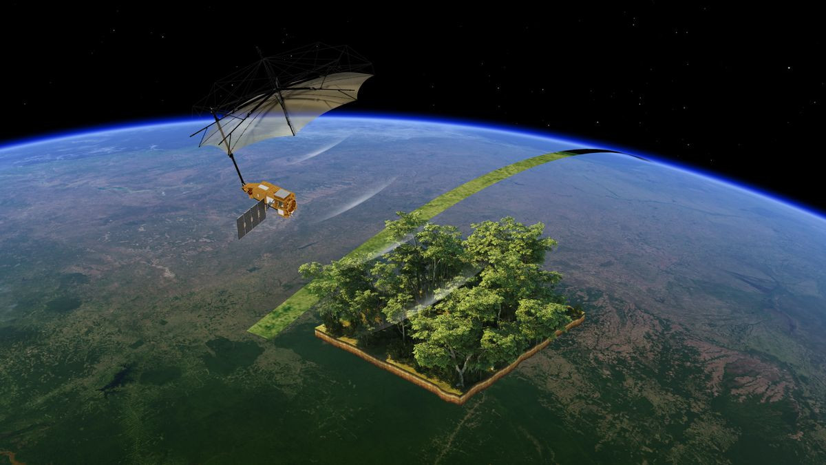 Biomass: Νέος δορυφόρος του ESA «μετρά» τον άνθρακα των δασών από το Διάστημα image