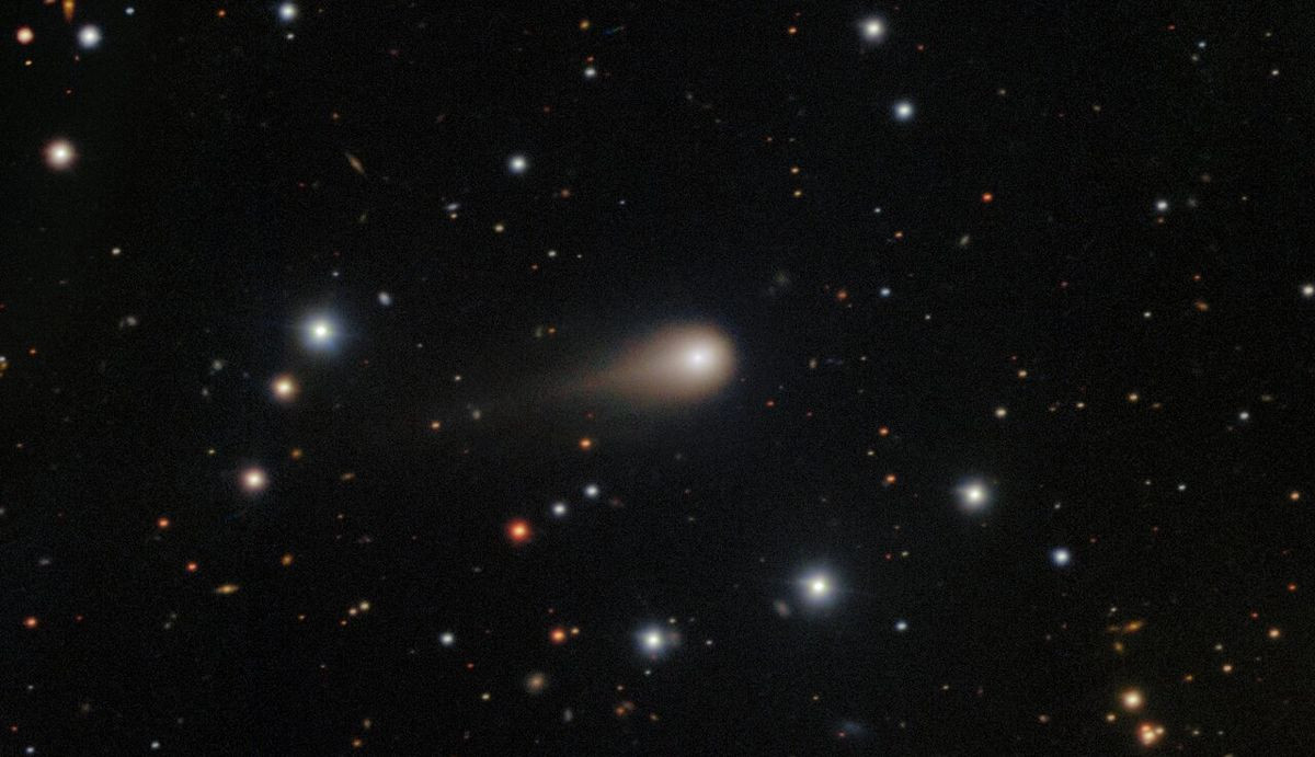 Η NASA ίσως «αγγίξει» για πρώτη φορά έναν διαστρικό κομήτη με το Europa Clipper! image