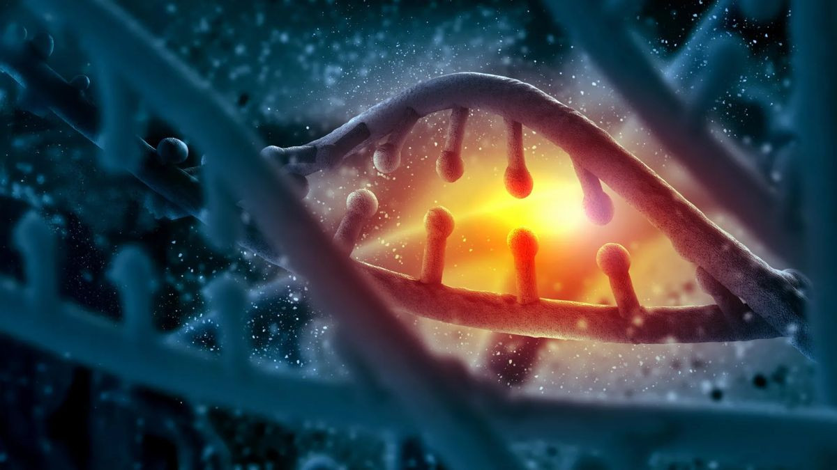 Ο «αόρατος» σύμμαχος του DNA: Πώς μια πρωτεΐνη ρίχνει φως σε θανάσιμες ασθένειες image