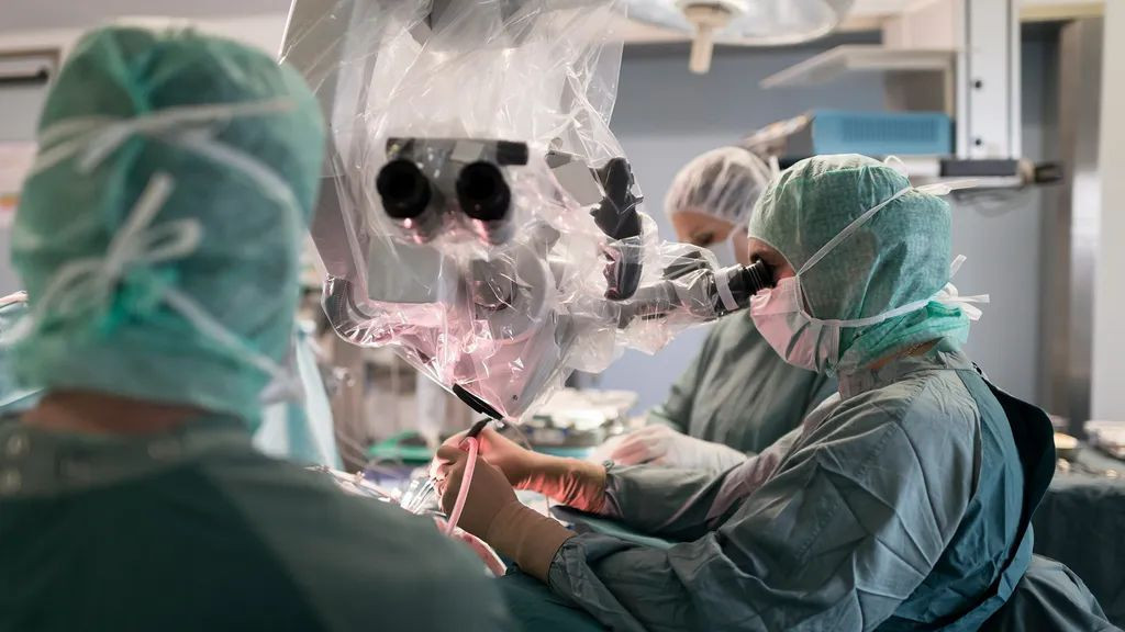 Γιατί η επιστήμη αδυνατεί να πραγματοποιήσει μεταμοσχεύσεις εγκεφάλου image