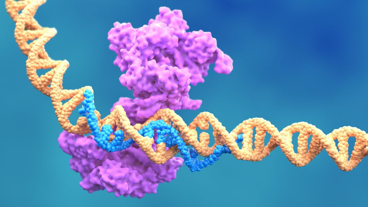 Νέα θεραπεία CRISPR στοχεύει το RNA και «ξεκλειδώνει» την ανοσοθεραπεία για τον καρκίνο του προστάτη image
