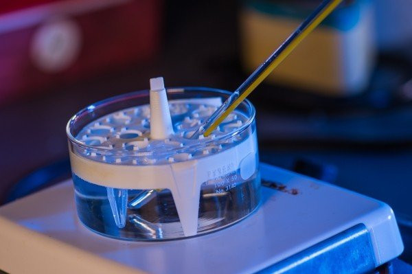 Ερευνητές δημιουργούν hydrogel για ταχύτατη και ακριβή αποκατάσταση σπασμένων οστών [Video] image