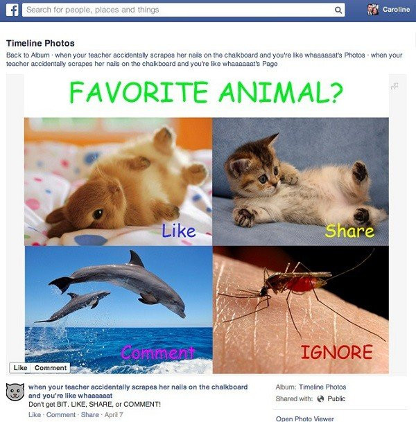 Facebook: Καθαρίζει το News Feed από τα spam posts που ζητούν "Like/Share/Comment" image