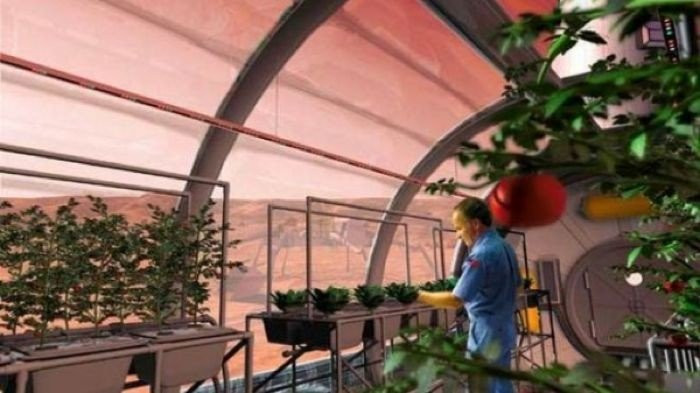 H NASA σχεδιάζει να φυτέψει λουλούδια και λαχανικά στο Φεγγάρι! image