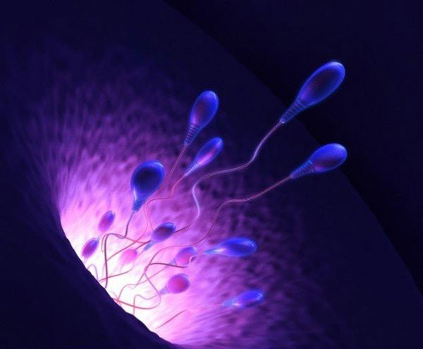 Spermbots: Τα robots που μεταφέρουν σπέρμα για τεχνητή γονιμοποίηση! [Video] image