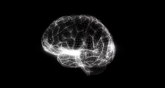Ξεκίνησε το Human Brain Project για την προσομοίωση του ανθρώπινου εγκεφάλου image