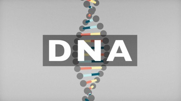 Όλα οσα πρέπει να γνωρίζεις για το DNA σε ένα animation [Video] image