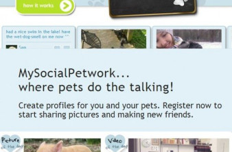 My Social Petwork, ένα κοινωνικό δίκτυο για ...ζώα image