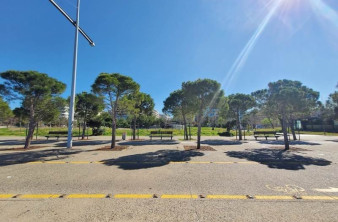 Άρση περιοριστικών μέτρων: Οι ημερομηνίες και οι νέοι κανόνες image