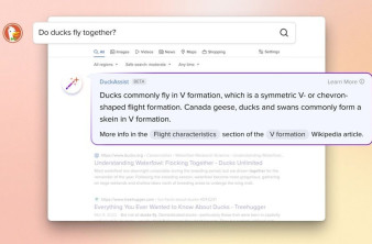 DuckDuckGo: Ενσωματώνει και αυτή τεχνολογία τύπου ChatGPT στη μηχανή αναζήτησης και τον web browser image