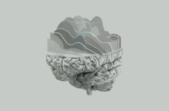 Neuralink: Στο στόχαστρο της USDA για τους θανάτους των πειραματόζωων image