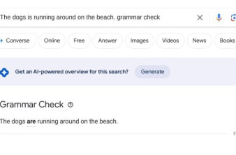 Alt text