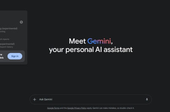 Alt text