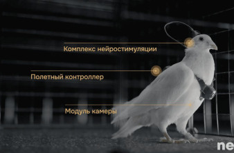 Alt text