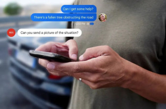 Alt text