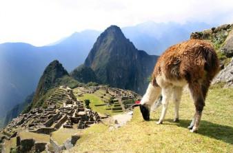 Machu Picchu: Μια βόλτα στη μυστηριώδη πόλη των Incas σε 4K video! image