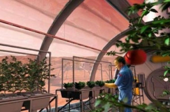 H NASA σχεδιάζει να φυτέψει λουλούδια και λαχανικά στο Φεγγάρι! image