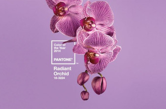 Radiant Orchid: Το επίσημο χρώμα του 2014 από την Pantone image