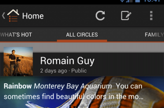 Alt text