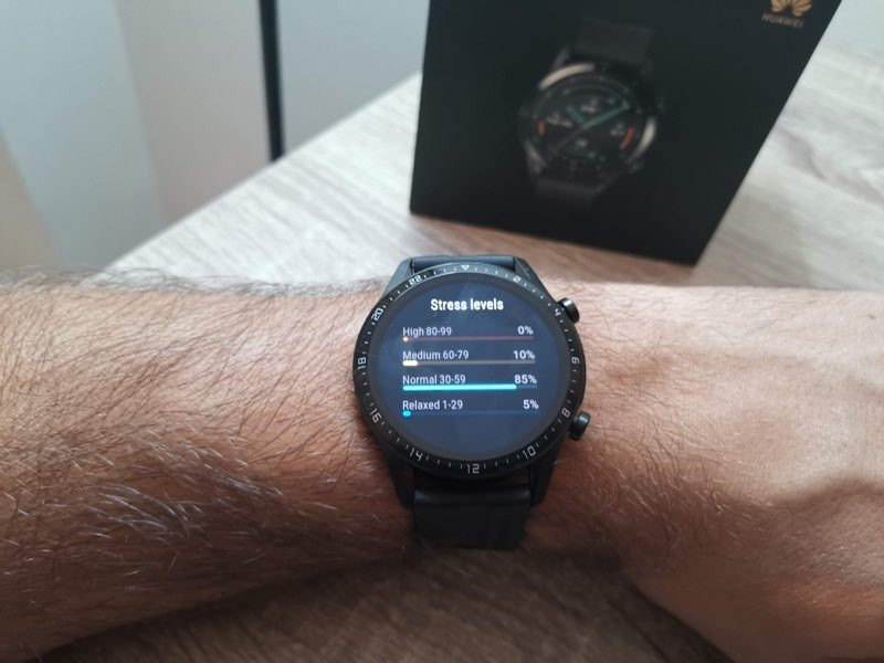 Huawei Watch GT2: Ενδιαφέρουσες λειτουργίες, βασιλιάς στην αυτονομία | 