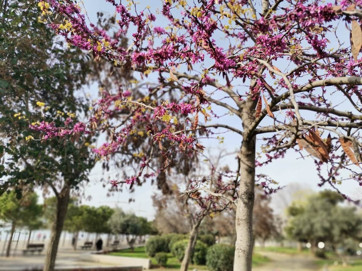 Huawei P40 Lite: Εμφάνιση, ταχύτητα και εντυπωσιακή αυτονομία στη mid-range κατηγορία | 