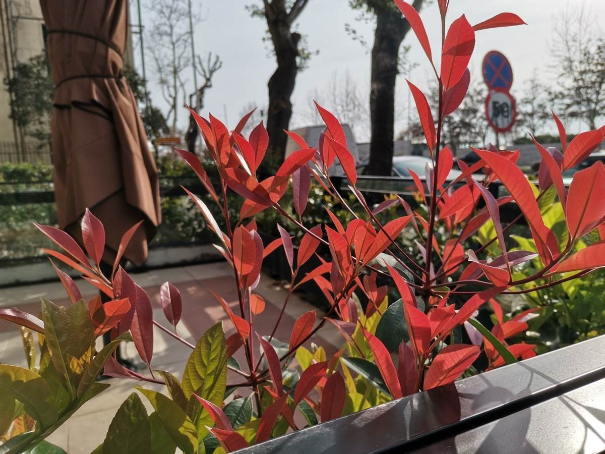 Huawei P40 Lite: Εμφάνιση, ταχύτητα και εντυπωσιακή αυτονομία στη mid-range κατηγορία | 