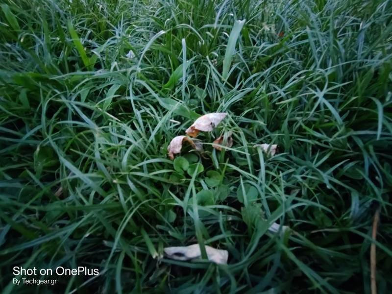 OnePlus Nord: Flagship killer ή απλά ένα καλό mid-range; [Review] | 